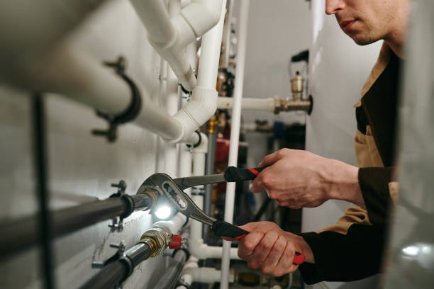 Best Local Plumber Services  in Dasher, GA